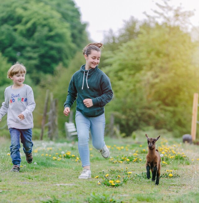 Kinder laufen neben Zieglein