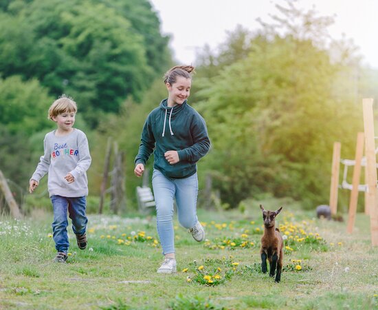 Kinder laufen neben Zieglein