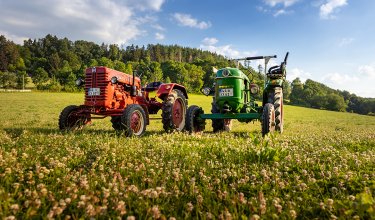 Zwei alte Traktoren, rot und grün, stehen auf einer blühenden Wiese unter blauem Himmel