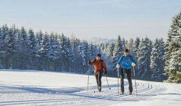 Zwei Skifahrer gleiten auf einer präparierten Loipe vor schneebedecktem Wald unter blauem Himmel
