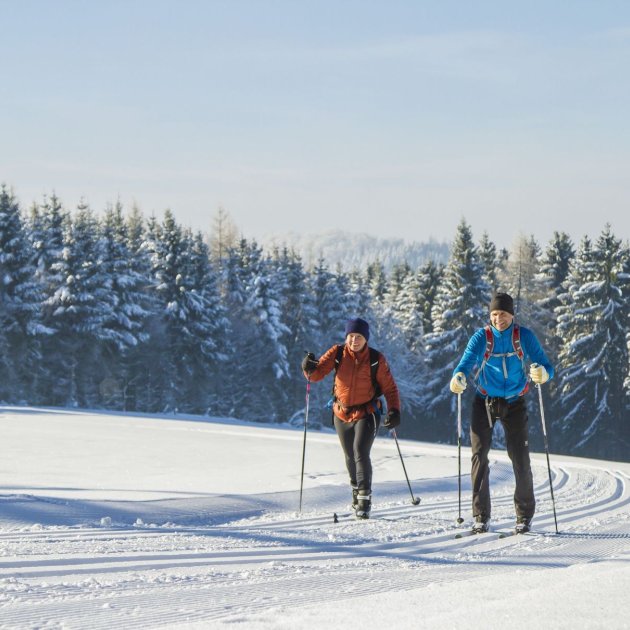 Zwei Skifahrer gleiten auf einer präparierten Loipe vor schneebedecktem Wald unter blauem Himmel