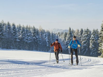 Zwei Skifahrer gleiten auf einer präparierten Loipe vor schneebedecktem Wald unter blauem Himmel