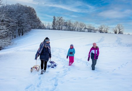 Drei Personen gehen im Schnee auf einem Feld, eine zieht einen Schlitten, Bäume im Hintergrund