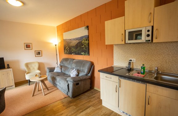 Wohnzimmer mit grauem Sofa, beigem Sessel, Holztisch und Küchenzeile mit Mikrowelle