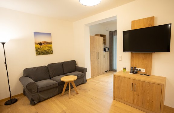 Wohnzimmer mit grauem Sofa, kleinem Holztisch, Stehlampe links und TV an Holzwand rechts